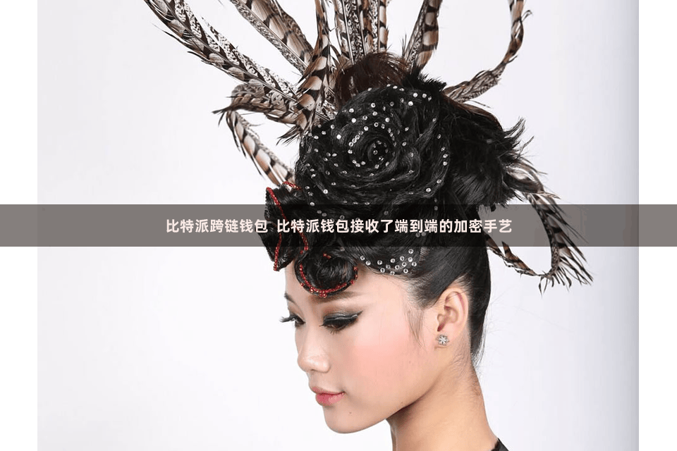 比特派跨链钱包 比特派钱包接收了端到端的加密手艺