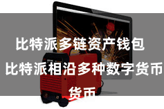 比特派多链资产钱包 比特派相沿多种数字货币