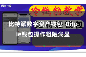 比特派数字资产钱包 Bitpie钱包操作粗陋浅显