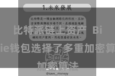 比特派链上资产  Bitpie钱包选择了多重加密算法