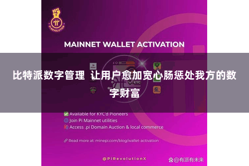 比特派数字管理  让用户愈加宽心肠惩处我方的数字财富