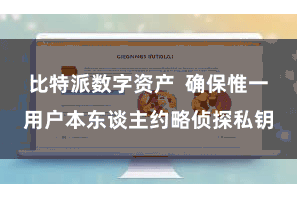 比特派数字资产  确保惟一用户本东谈主约略侦探私钥