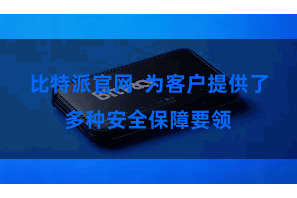比特派官网  为客户提供了多种安全保障要领